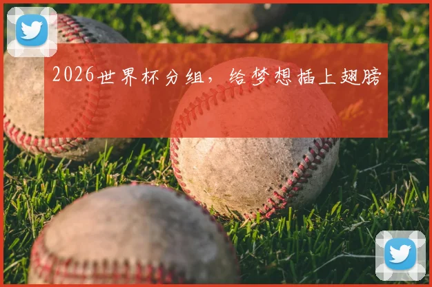 2026世界杯分组，给梦想插上翅膀