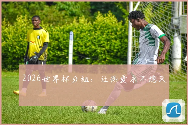 2026世界杯分组，让热爱永不熄灭